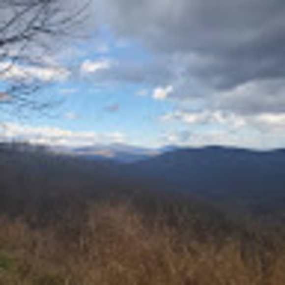 Meet your Posher, Andrew - Picture 1 of 1